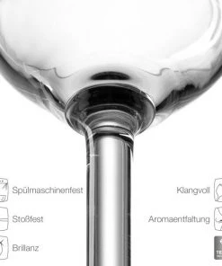 Leonardo Grappaglas DAILY 100 Ml, 6er-Set -Zwilling Shop 210 063319 2 K