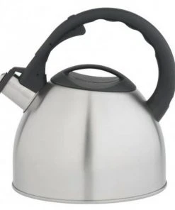 Bredemeijer Flötenkessel Edelstahl Matt Gebürstet, 2,5 Liter